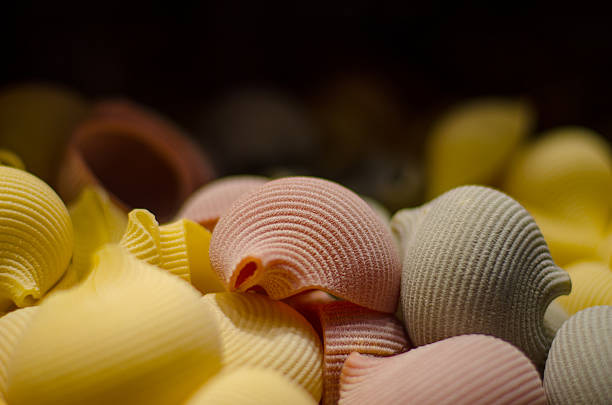 قیمت ماکارونی صدف درشت با کیفیت ارزان + خرید عمده